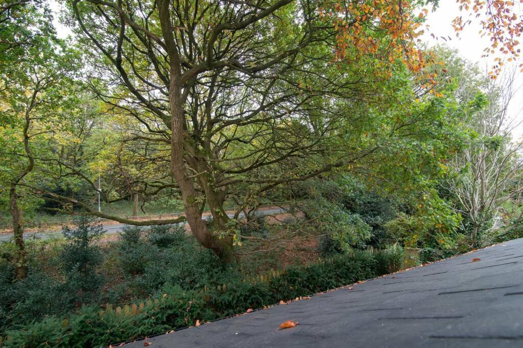 Luxury Coach House Next To Woodland In Knutsford Villa Екстериор снимка